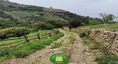 Efeler Yolu, En İyi 100 Hikâye listesinde