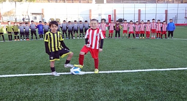 12 Takım, 240 Sporcu