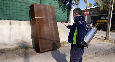 İzmir'de Karasinekle Yoğun Mücadele