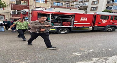 Mazgala düşen kayıp köpek ve yangında mahsur kalan kediler itfaiyenin çabasıyla kurtarıldı